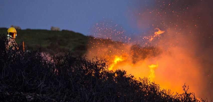 Seguro de Incendio y Líneas Aliadas